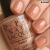 opi-skinny-dipn-lake-michgn-nat.jpg