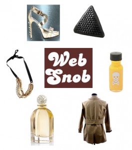 web-snob-2-6-09