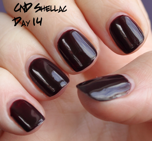 Introduction to Shellac