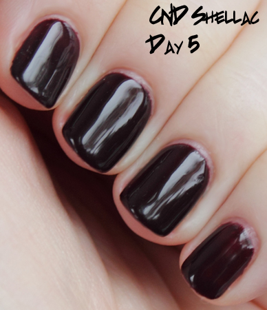 cnd shellac wear test day 5 Introducing CND Shellac Hybrid Nail Color