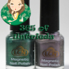 ALU’s 365 of Untrieds – LCN Magnetic Nail Polish