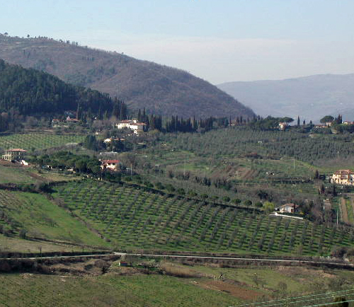 Hillside in Tuscany