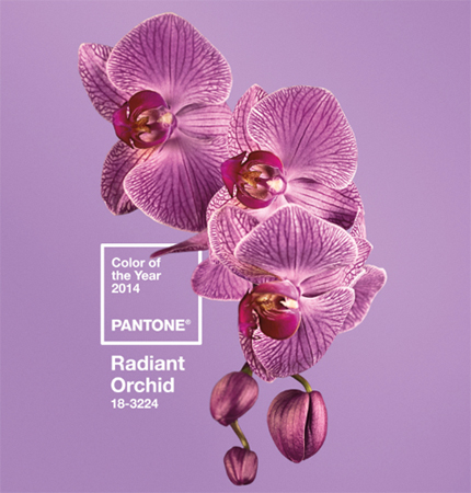 Pantone Color of the Year 2014, Radiant Orchid