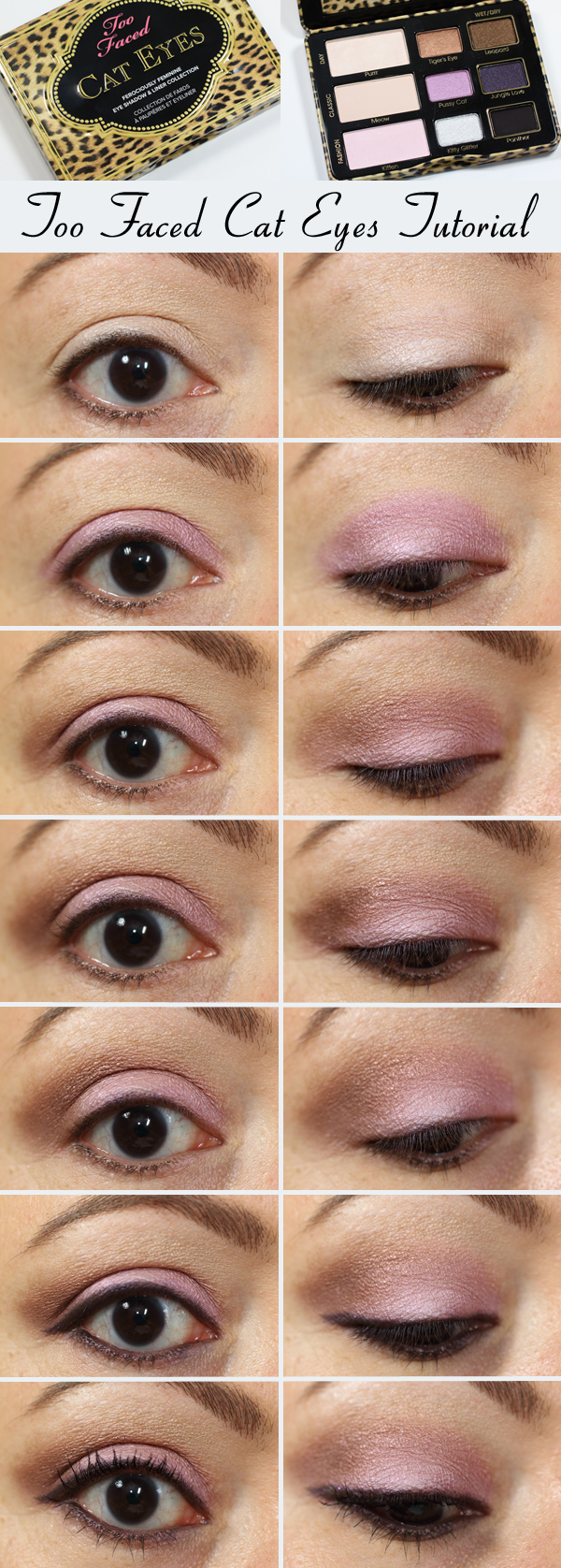 Too Faced Cat Eyes Palette Tutorial