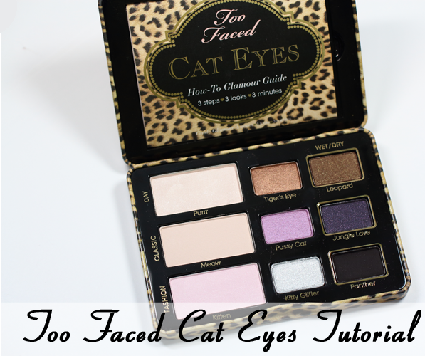 Too Faced Cat Eyes Palette Tutorial